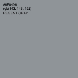 #8F9498 - Regent Gray Color Image